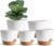 Indoor Plant Pots for Lazy People, 5Pack White Plastic Self Watering Planter Pots for Houseplants,Succulent, African Violets,Snake Plants, Flowers and Cactus(7/6.5/6/5.5/5 Inch)