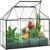 Large Glass Terrarium House Planter – Succulent Plant Glass Greenhouse with lid 9.8″X7.9″X5.9″ NA