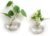 Mkono Wall Hanging Glass Terrariums Planter Oblate Flower Vase for Hydroponics Plants, Bathroom, Home Office Living Room Decor, Set of 2（Plants not Included）