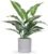 Der Rose JC nateva 16″ Small Fake Plants Artificial Tropical Faux Plants Indoor for Office Desk Shelf Bathroom Home Decor