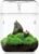 SARUFO Small Glass Plant Terrarium 4.7″X7″ Inches Succulent Air Planter Fern Moss Micro-Landscape Vase for Home Garden Office Tabletop Decoration Container with Lid Indoor Wardian Copyright Patent