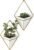Umbra Trigg Hanging Planter Vase Wall Decor, Set of 2 Pots Containers for Succulents, Cactus, Faux Plants, and More, Small, White/Brass