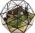 Glass Flower Pots Geometric Terrarium Planter Container Air Plant Display Air Plant Containers for Succulents Balcony Tabletop Miniature Fairy Garden Modern Decor