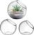 SEWACC 3pcs Succulent Terrarium Air Plant Planters Globe, Glass Bowls Vases, Desktop Glass Plant Containers for Home Office, Transparent