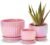 Ton Sin Pink Gold Ceramic Flower Pots, 4″+5″+6″ Inch Small Glazed Succulent Planters with Drainage Hole,Modern Indoor Decorative Plant Pots Set of 3,Garden Pots with Saucer