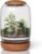 Exclusive Glass Terrarium with Natural Wood Lid and Base, Excellent for Plants and Decoration for Home or Office, Size: 8.7″ Tall (22 cm) by 6.3″ Wide (16 cm)