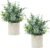 Velener 2 Pcs Small Fake Plants Eucalyptus, Artificial Plants Indoor for Shelf, Potted Eucalyptus Plants for Home/Bathroom/Pottery Barn/Desk/Farmhouse/Coffee Table Decor (Sage Green)