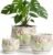 STHIE Ceramic Plant Pots with Drainage Holes and Saucers, Round Flower Pots for Indoor Plant, 4/5.2/6.6 Inches Vintage Flower Planters Set of 3