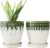 6 Inch Ceramic Planter Pots with Drainage Holes, Saucers and Mesh Pads for Indoor-Outdoor Plants, Succulent Orchid Flower Large Round Plant Pot, Set of 2 (Green+White)