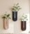 Wooden Wall Vase Set of 3, Propagation Vases Hanging Planters for Indoor Plants, Wall Mounted Vase Boho Modern Farmhouse Decor for Entryway Hallway