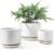 LE TAUCI Ceramic Pots for Plants, 4.3+5.3+6.8 Inch Plant Pots, Set of 3, Planters with Drainage Hole and Saucer, Indoor Flower Pot with Hole Mesh Pad, Gifts for Mom, White