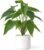 Mkono Fake Plants in Ceramic Pot, 11″ Potted Artificial Plants for Home Decor Indoor Faux Green Leaf Plant with Modern White Planter for Desk Shelf Office Room Decoration (Pothos)