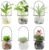 XUNSAIL Terrarium Plants Glass Air Plant Hanging Terrarium Plants Glass Home Decor Vase Wall Hanging Pots (6 PCS Air Plant
