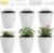 6 Pack Hanging Planter Wall Planter Self Watering 5 inch Plant Pot with Hardware Vertical Planter Outdoor Indoor Plants Herb Garden Home Décor Kitchen Balcony Railing Shelf Fence (Medium)