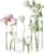 4 Pack Glass Cylinder Vases 4,6,8,10 Inch Tall Clear Flower Vase Hurricane Floating Candle Holder for Table Centerpiece Wedding Home Decor
