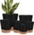 YNNICO Indoor Self Watering Planters with Drainage Holes and Saucers, 8, 7, 6.5, 6, 5.5, 5 Inches, Black, 6 Pots