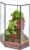 NCYP Wall Corner Geometric Glass Terrarium, Closed Front Opening Door Container Planter for Succulents, Small Plants – Black, Indoor Decor, Tabletop Landscape, 6.1″ x 6.1″ x 11.8″ (Terrarium Only)