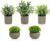 AUUGUU Artificial Potted Plants Faux Greenery in Cement Pots for Shelf, Bookshelf, Office or Home Decor, Small Decorative Fake Plants for Modern Indoor Display