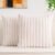 Aegero Pack of 2 Faux Fur Christmas Throw Pillow Covers 18×18 Inch, Soft Plush Striped Neutral Couch Pillow Cover, with Velvet Back Modern Home Decor for Sofa Living Room Couch Bed Cream White