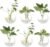 Hanging Wall Planters Pack of 6 Glass Plant Pots Round Wall Vases for Flowers Hanging Propagation Station Glass Plant Holder Wall Terrariums Plant Container