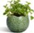 Ceramic Plant Pots – 4 inch Plant Pot with Drainage Hole, Small Pots for Plants Indoor Outdoor, Unique Round Planter, Modern Decorative Flower Pot, Room Decor, House Warming Gifts, Green