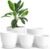 Utopia Home Plant Pots Indoor with Drainage Holes – Set of 5 White Plastic Flower Pots (7/6.6/6/5.3/4.8 Inch) – Modern Planters for Indoor Plants, Room & Office Décor, Great Stocking Stuffers