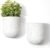 LA Jolie Muse Wall Hanging Planters for Indoor Plants，Hanging Flower Pots for Air Plants Succulent, Set of 2, 5.7L*4.1W*7H, Speckled White