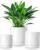 vancasso Ceramic Plant Pots, 3 Piece Planters for Indoor Plants, 4.25+5.25+6.25 Inch Flower Pots with Drainage, Plant Pots Indoor for Succulent, Pothos, Snake Plant and Money Tree, Etc (White)