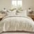 RECYCO Luxury Velvet Quilt Set Full Queen Size Bedding Sets, Ultra Soft Velvet Comforter Set, Lightweight Channel Box Stitch Oversized Bedspread Coverlet for All Season, with 2 Shams, Beige