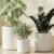 LE TAUCI Ceramic Pots for Plants, 10/8/6 Inch Indoor Planters with Draiange Hole, Silicone Plug & Mesh Pad, Modern Minimalist Pots for Home Office, Set of 3, Satin, White