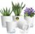 Meowell 4 inch Self Watering Pots for Indoor Plants, 5 Pack Small Flower Plant Pots with Drainage Holes and Clear Reservoirs, Visible Water Level, Plastic Planters with Wicking Rope, White