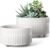 LE TAUCI Succulent Pots, 6.5+8 Inch Ceramic Indoor Plant Pot with Drainage Hole, Shallow Round Succulent Planters, Set of 2, Matte White