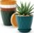 YNNICO 6 inch Plant Pots, 5 Pack Flower Pots Outdoor Indoor, Planters with Drainage Holes and Tray Saucers（Multicolor）