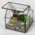 Ferrisland Glass Plant Terrarium Container Wardian Case Indoor Small Succulent Terrarium Planter w/Door for Tabletop Decor DIY – 4.9″x4.3″x4.3″