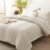 CozyLux Queen Comforter Set Beige – 7 Pieces Bed in a Bag, Modern Vertical Quilted Room Decor, Soft All-Season Bedding Gift with Comforter, Sheets, Pillowcases & Shams