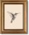 VIYYIEA Vintage Gold Framed Wall Art, Sketch Birds Canvas Painting, Cute but Exquisite Wall Decor, No Glass No Glare, Suitable for Bedside Tables, Foyer, Bookshelves,【Hummingbird】-10L x 8W