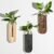 Dnnnii Indoor Wood Wall Planter Set of 3 for Plants – Boho Handmade Hanging Propagation Station with Curved Rainbow Design, Wall Mounted Vase for Flowers, Natural Home Decor Living Room Entryway