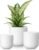 vancasso Ceramic Plant Pots, 4+5+6 inches, Set of 3, Planters with Drainage Hole, Flower Pots Planters Pots for Indoor Plants, Modern Indoor Decorative Garden Pot, Home Decor, White