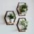 3 Pack Solid Wood & Metal Framework Wall Plant Stands,9 inch Natural Wood Shelf of Indoor,Mid Century Modern Hanging Planter for Outdoor Entryway 25 LB Load for Plants Coffee