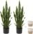 2 Set Large Fake Snake Plant 25 Inch Sansevieria Plant Artificial Snake Plants in Pots with Woven Basket Faux Mother In Law Tongue Plant – 17 Leaves Fake Laurentii for Indoor Outdoor Home Office Decor