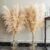 40″ inch 10 Stems Natural Pampas Grass Decor Tall, pompas Grass, Tall Pampas Grass for Wedding, Party, Farmhouse, Boho Home Decor