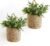 Dahey 2 Pack Wall Hanging Rope Basket (6.5″W×7″H) with Artificial Eucalyptus, Jute Woven Storage Organizer Flower Plants Basket Farmhouse Rustic Wall Decor for Porch Living Room Bedroom Entryway,Brown