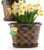 10 Inch Planter Pots for Plants, 4 Pack Plastic Large Flower Pots Indoor Outdoor, Resin Plant Pot with Drainage & Saucer, Retro Decorative Garden Pot with Removable Trays for House