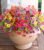 HyeFlora Artificial Flowers for Outdoor Indoor Garden Home Decoration, Faux Flower Daisy with Eucalyptus Leaves Fake Plants Greenery Boxwood Porch Patio, 12 Bundles (Mix Pink Red Purple Yellow)