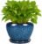 Deep Dream 6 Inch Plant Pots- Ceramic Planter Pot with Drainage Hole and Saucer, Round Flower Pot for Indoor Outdoor Succulent, Snake Plants and Cactus, Blue