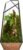 FISCRAT Tabletop Glass Terrarium -5″x5″x10.8″ Black Metal Frame Indoor Plant Display Container with Openable Door, Low Maintenance Succulent Ecosystem, Space Saving Art Decor (Plants Not Included)