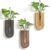 GRID FORTE Wood Wall Planter Indoor, Propagation Station, Wooden Hanging Vase for Dried Flowers, Plant Holder, Boho Wall Décor for Living Room Rainbow U Shape (Set of 3)