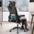 Ergonomic Office Chair,Mesh Office Chair with Lumbar Support,High Back Desk Chair with Flip-up Arms,400 lbs Big and Tall Computer Chair with Headrest,Comfy Desk Chairs