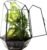 KraftStories Clear Glass Terrarium with Door | Geometric Design Container | Ideal Planter for Moss and Indoor Plants | Maintains Humidity | Self-Sustaining Indoor Garden Ecosystem (Only Terrarium)