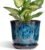 5.6 Inch Plant Pot – Ceramic Pots for Plants with Drainage Hole and Saucer, Round Succulent Flower Orchid Pot for Indoor Outdoor, Modern Planter, Home Room Decor, Gift for Plant Lover, Blue